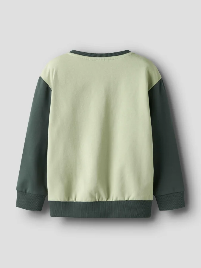 NAME IT - NMMTERRY LS NREG... 2