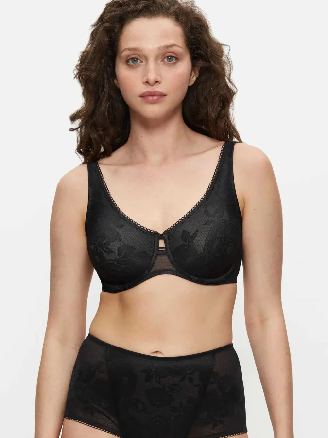 Triumph - Wild Rose... 2