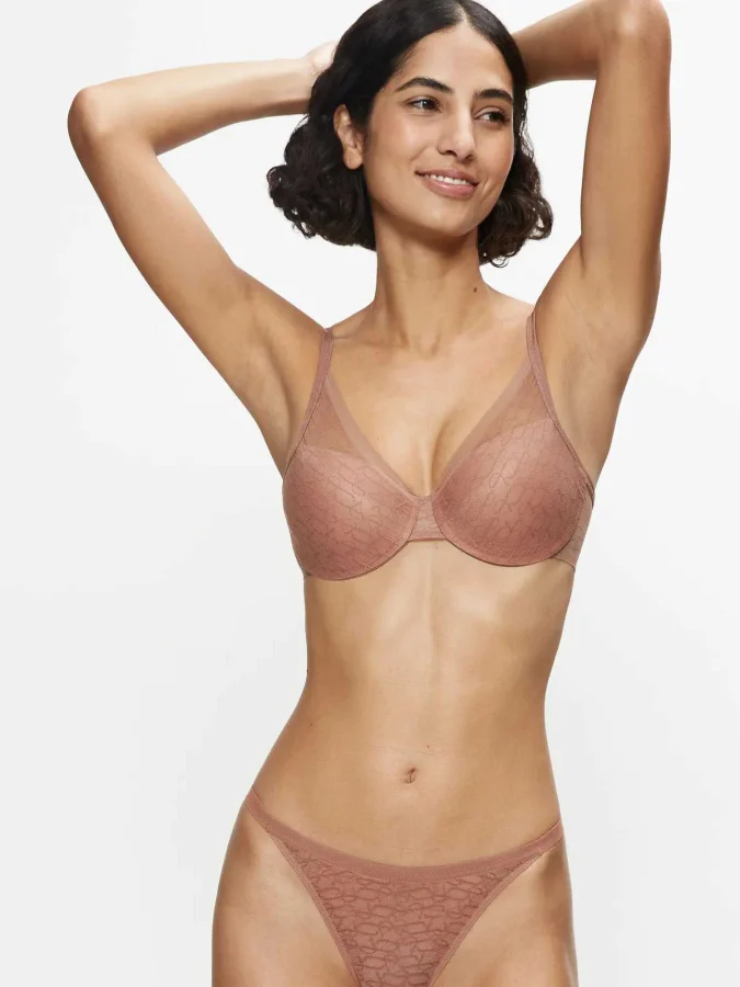 Triumph - Triumph Signature... 2