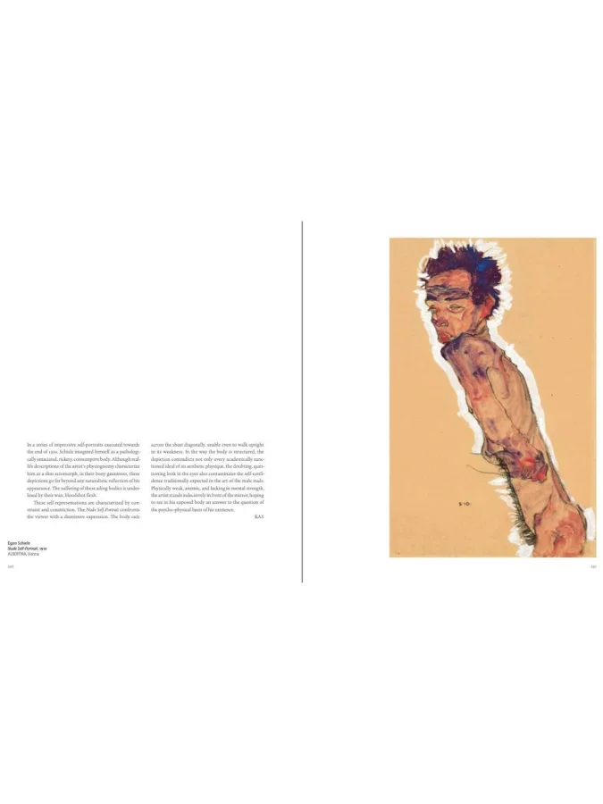 წიგნი - Michelangelo and... 2