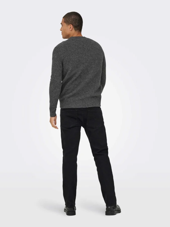 ONLY & SONS - ONSRAY REG LS... 2