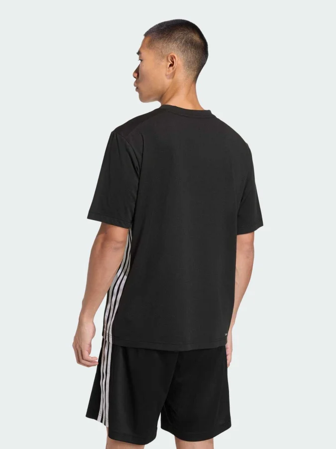 Adidas - WE FR 3S T 2