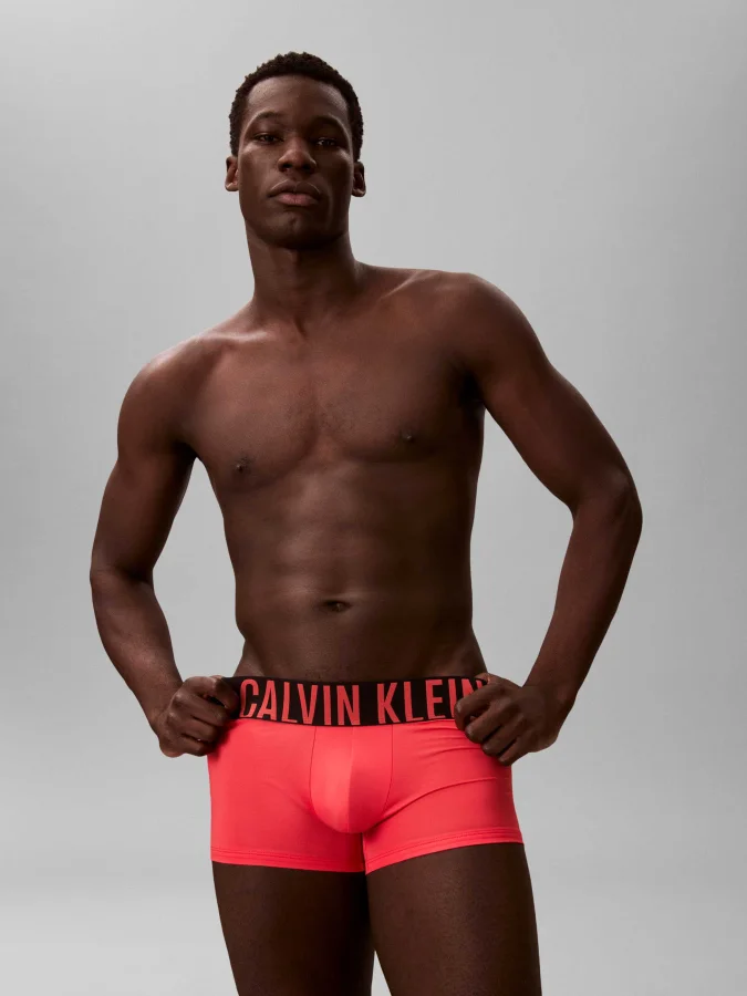 CALVIN KLEIN UNDERWEAR -...