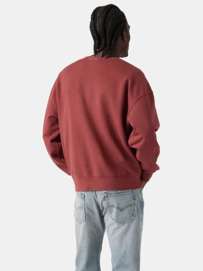 Levi's® - Boxy Graphic Crew 2