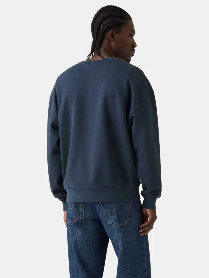 Levi's® - Boxy Graphic Crew 2