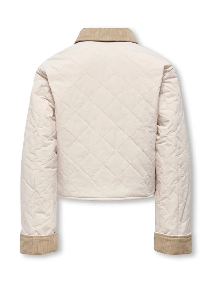 KIDS ONLY - KOGROSALINA... 2