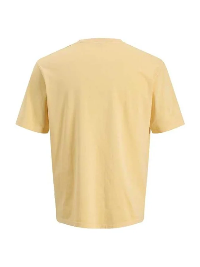 Jack&Jones - JPRBLUAIDEN SS... 2