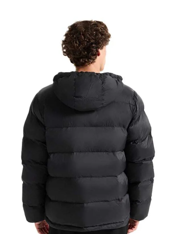 CALVIN KLEIN JEANS - LS MD... 2