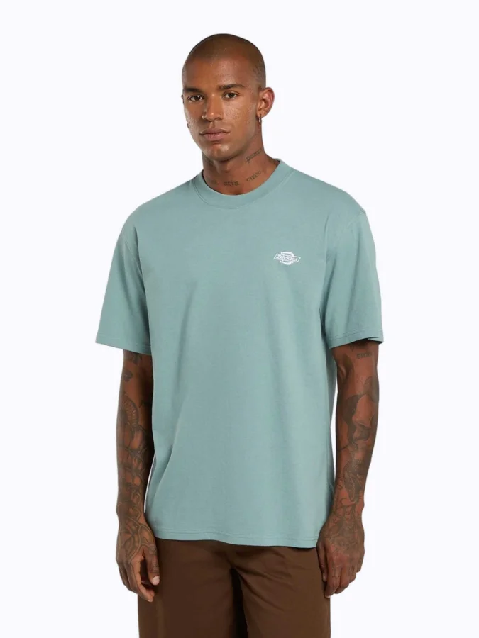 Dickies - SUMMERDALE SS TEE...
