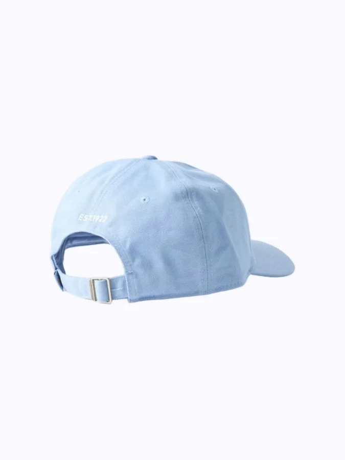 Dickies - ESSENTIAL DAD CAP... 2