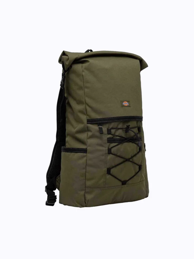 Dickies - ASHVILLE UTILITY... 2