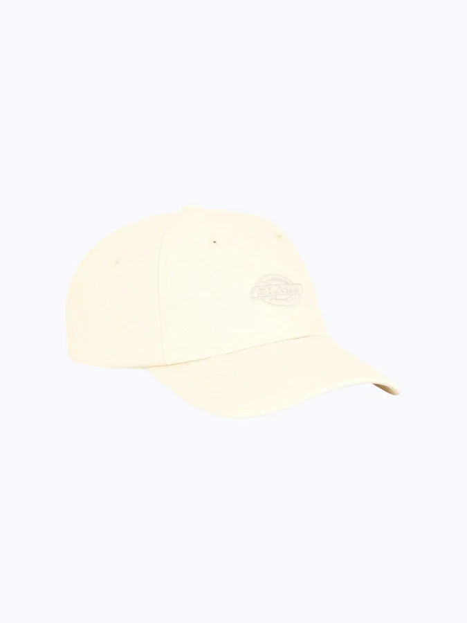 Dickies - DUCK CANVAS DAD...