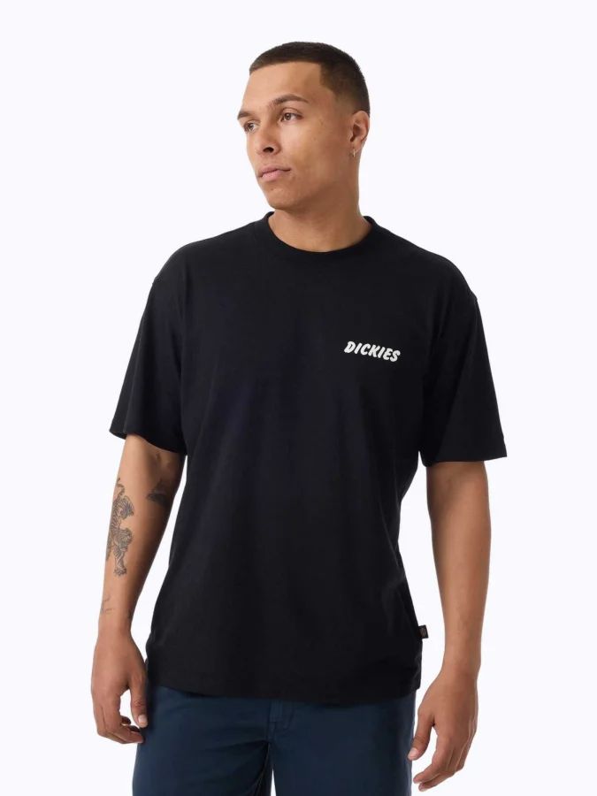 Dickies - DRY RIDGE SS TEE...