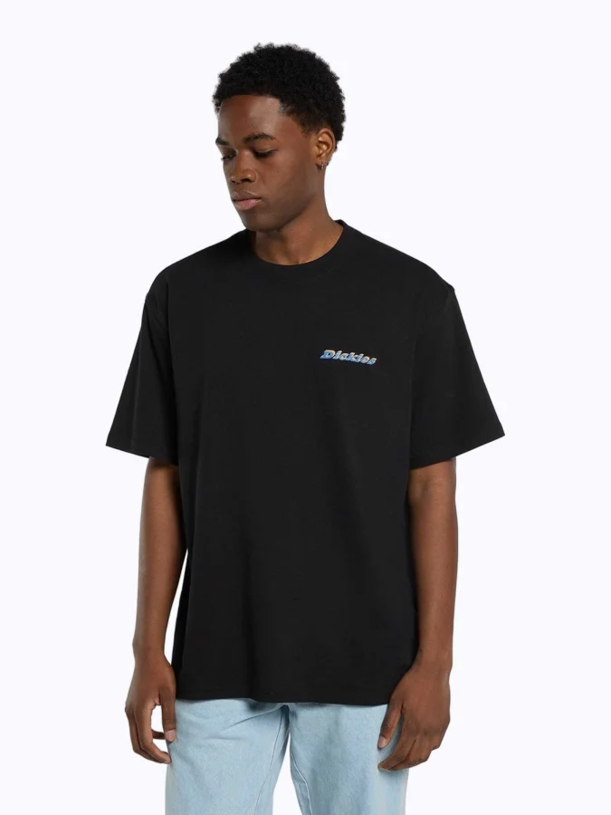 Dickies - THORNVILLE SS TEE...