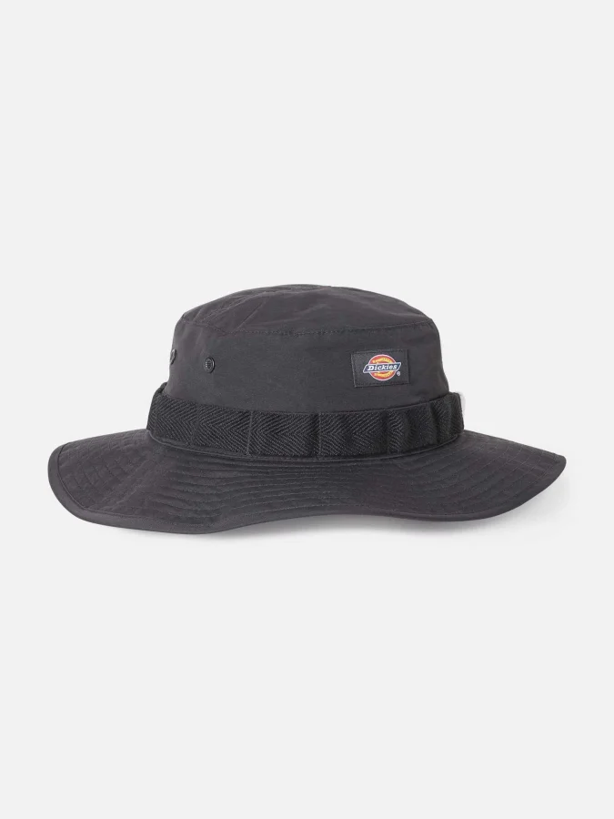 Dickies - GLACIER VIEW...