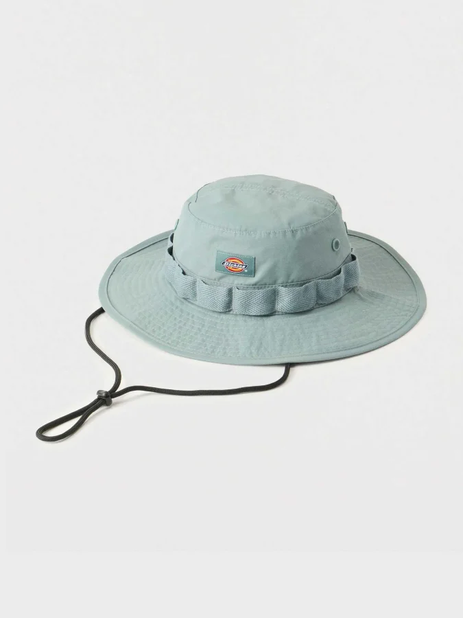 Dickies - GLACIER VIEW...