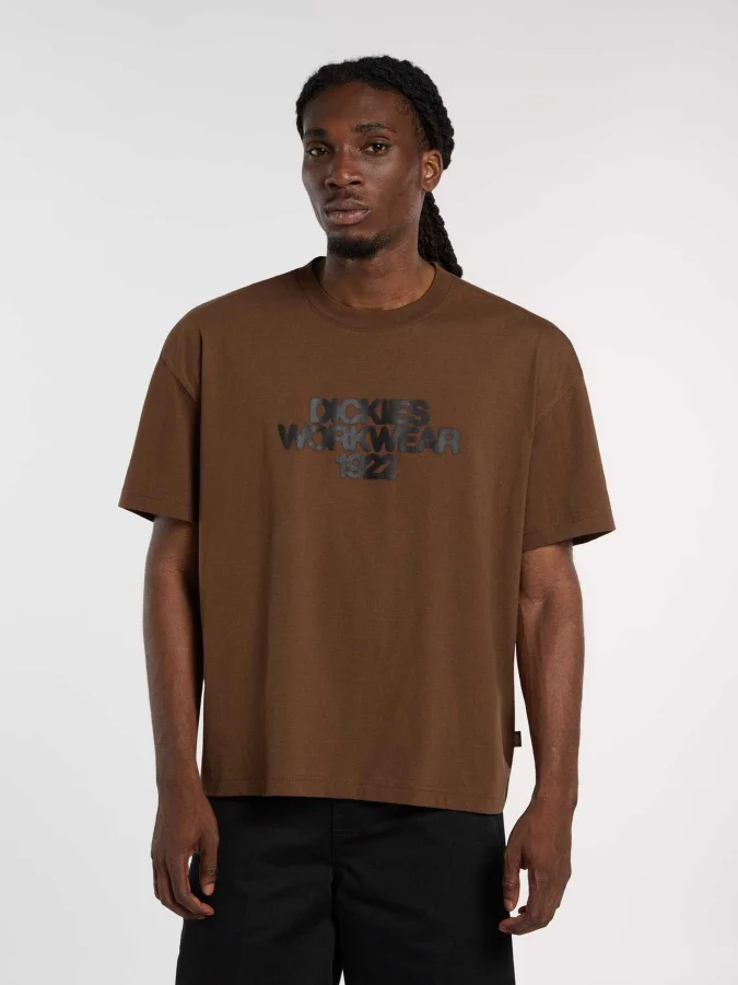 Dickies - TORREY SS TEE...