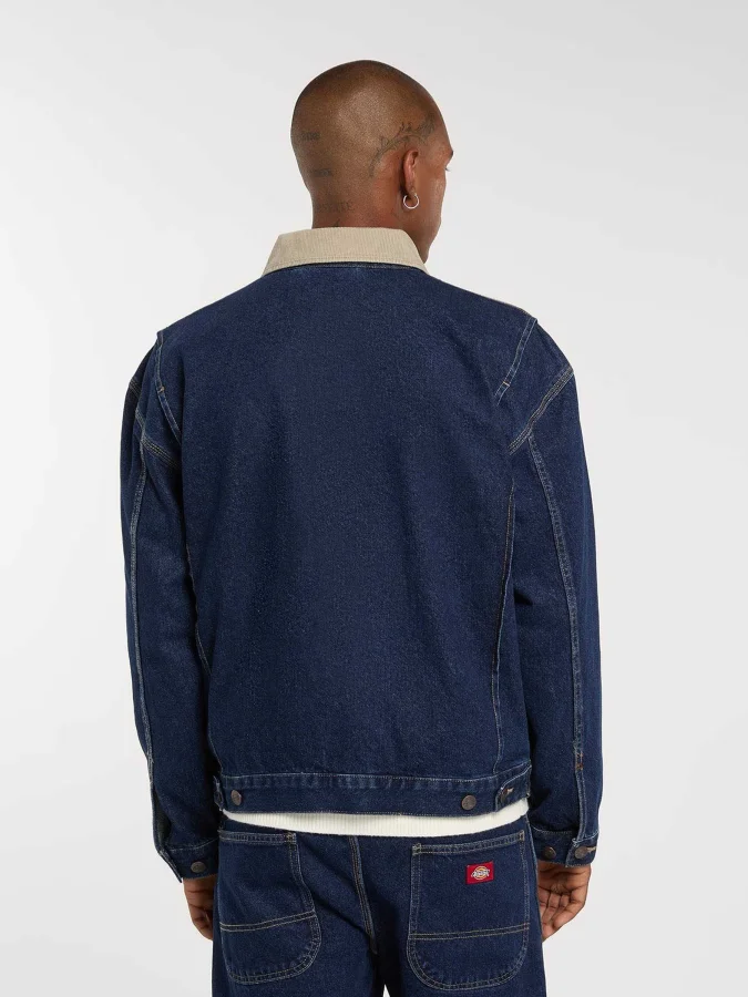 Dickies - DENIM PAINTER... 2