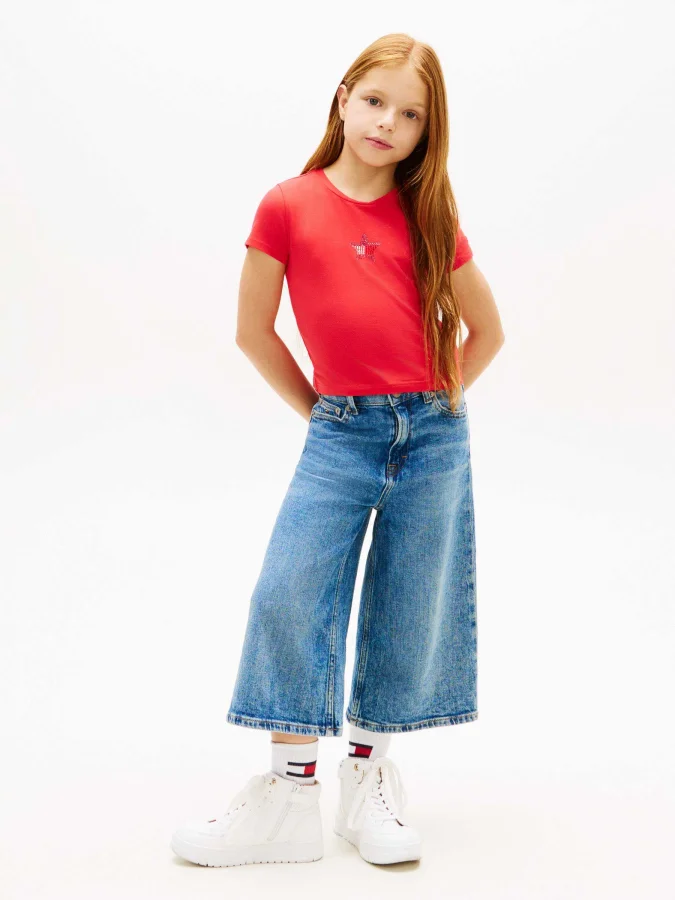 Tommy Hilfiger - STAR FLAG... 2