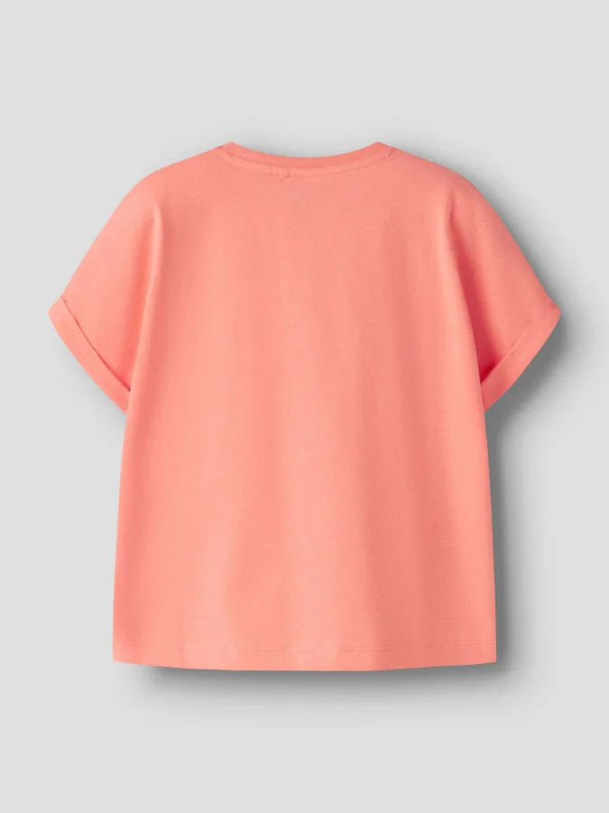 NAME IT - NKFVILLE SS LOOSE... 2