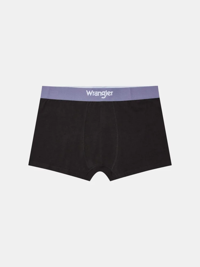 Wrangler - BALDWIN 2