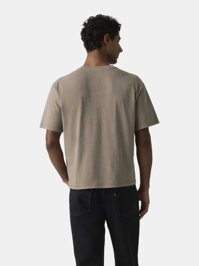 Levis - Boxy Ss Tee 2