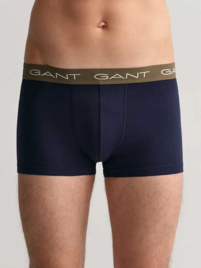 Gant - FOULARD PRINT TRUNK 3-P 2