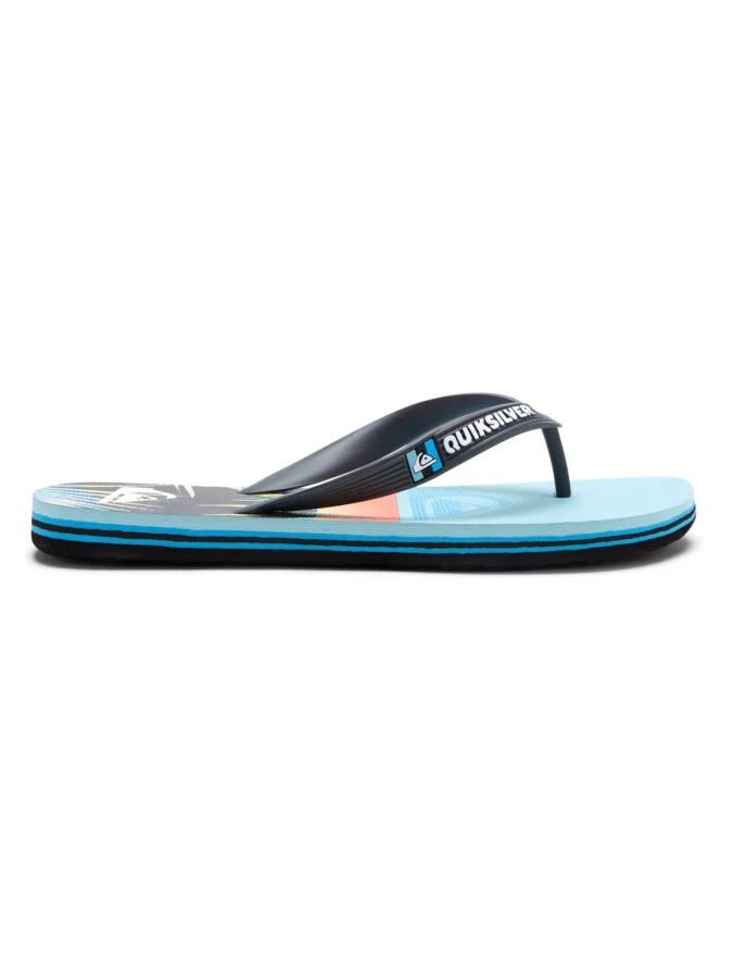 Quiksilver - MOLOKAI ART B... 2
