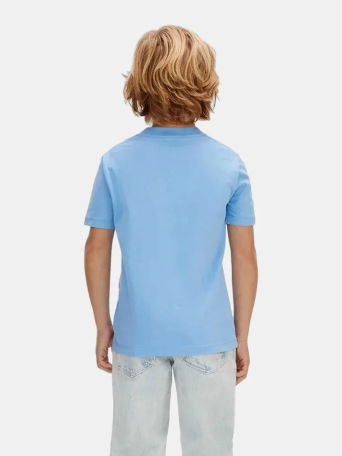 Calvin Klein - CK CHEST... 2