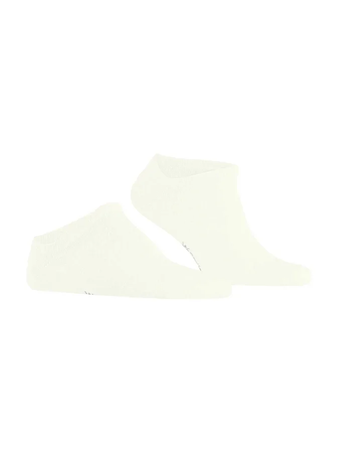 BURLINGTON - Cornwall SN