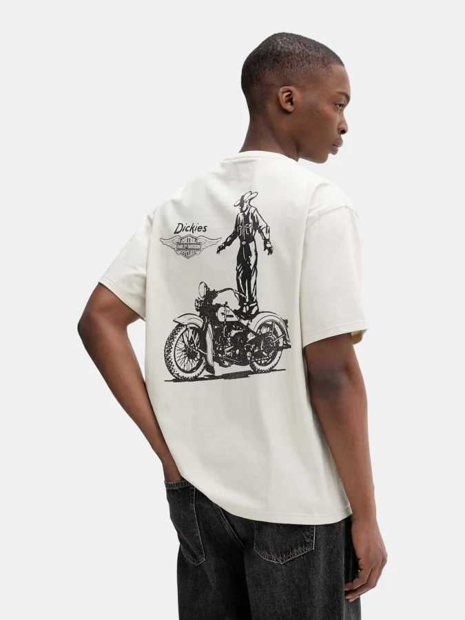 Dickies - M DICKIES X HD SS... 2