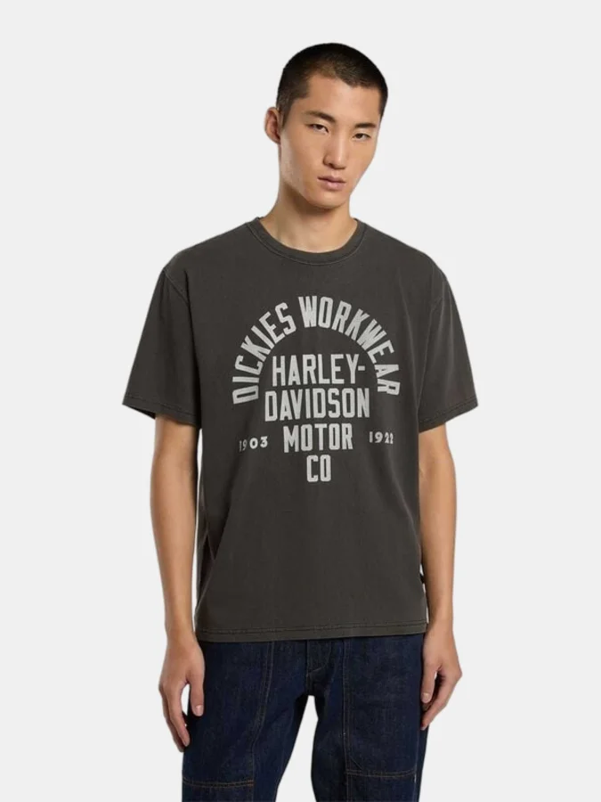 Dickies - M DICKIES X HD SS...