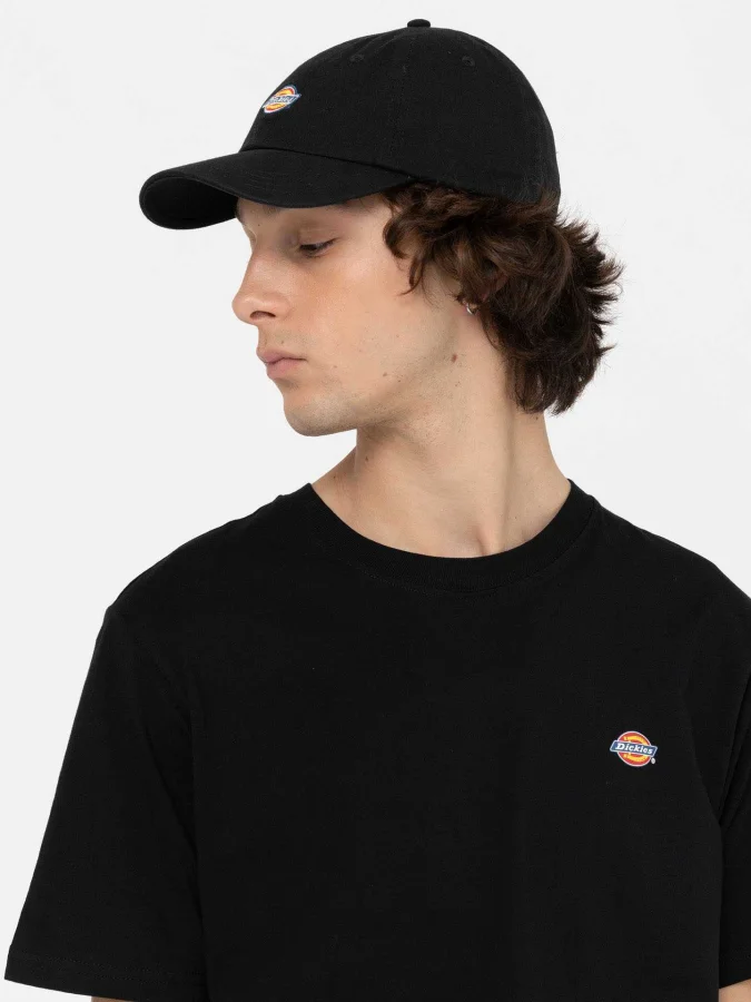 Dickies - HARDWICK 2