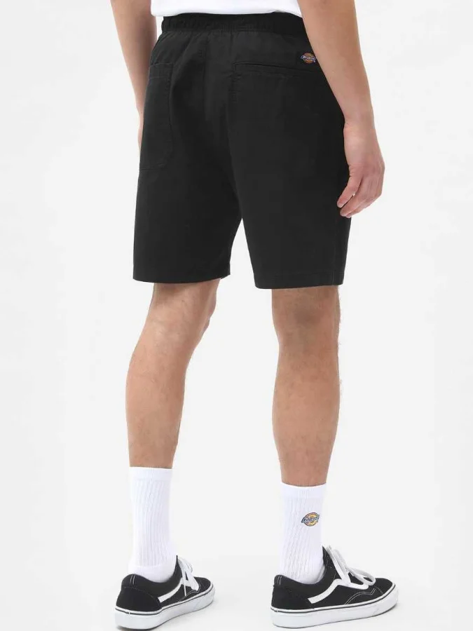 Dickies - PELICAN RAPIDS 2