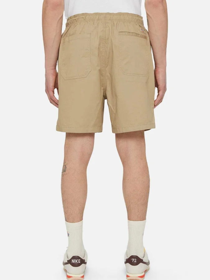 Dickies - PELICAN RAPIDS 2