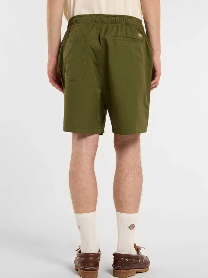 Dickies - PELICAN RAPIDS 2