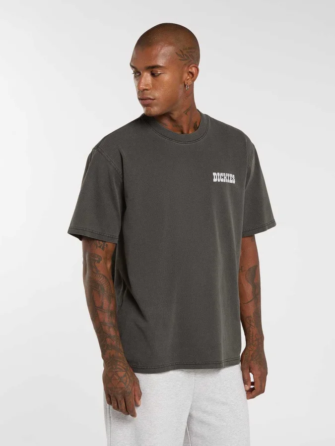 Dickies - BUCHTELL SS TEE 2