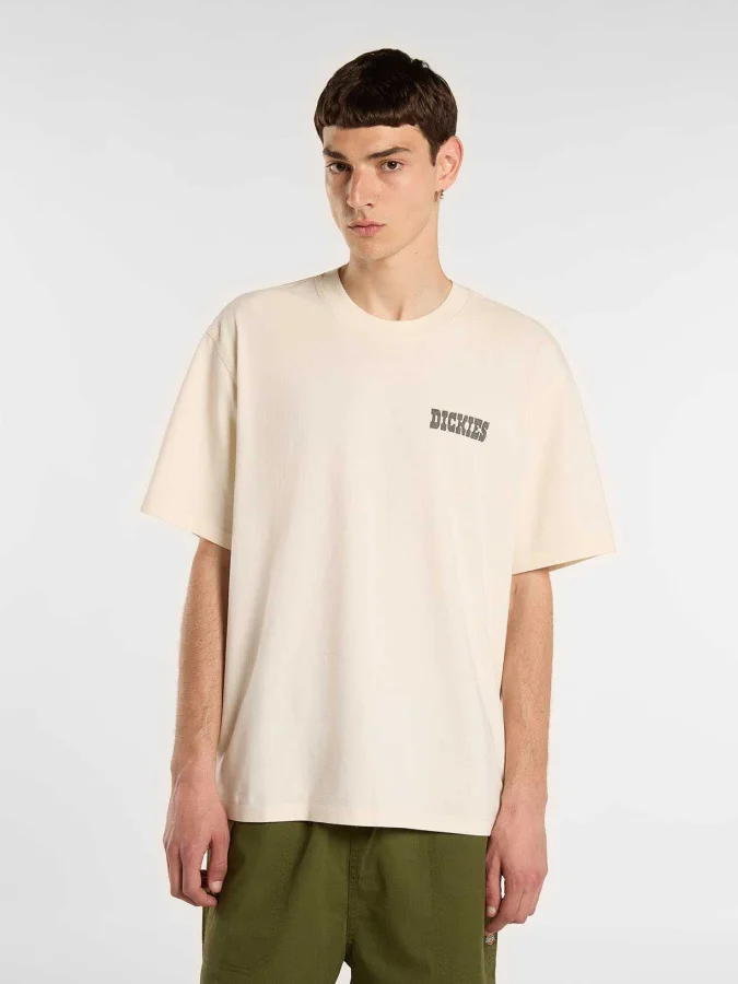 Dickies - BUCHTELL SS TEE 2
