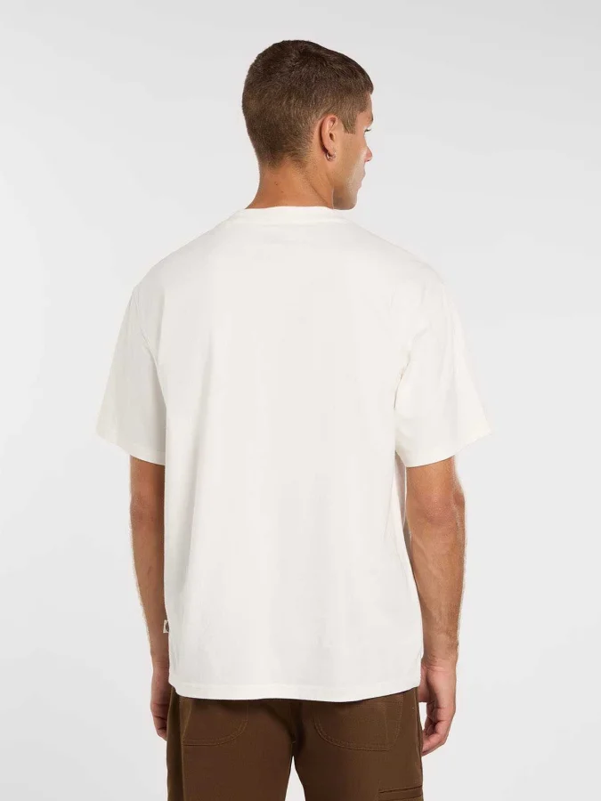 Dickies - LYNNDYL SS TEE 2