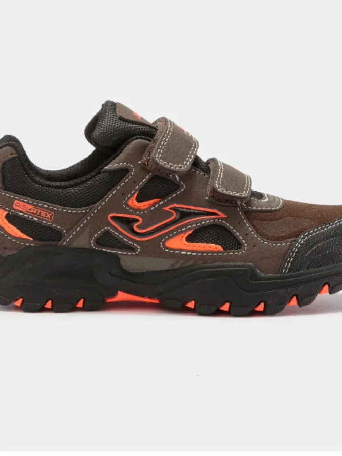 JOMA 2