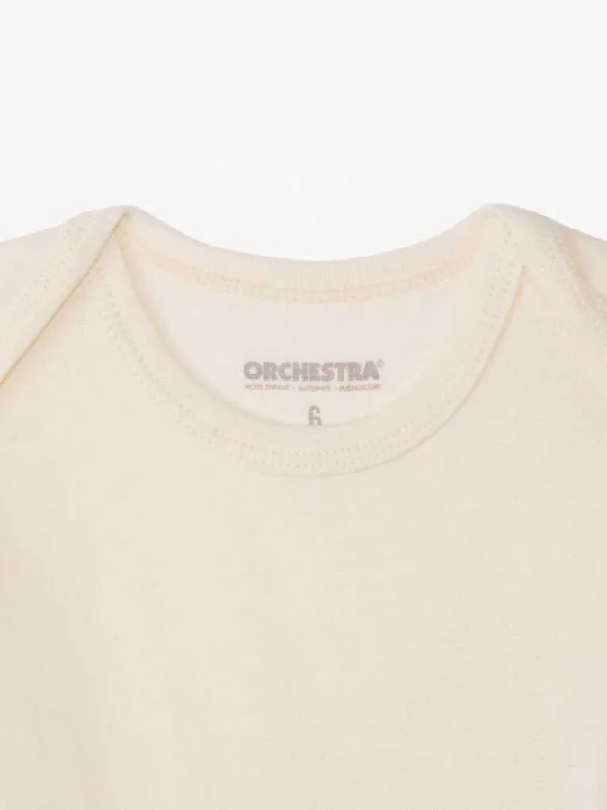 ORCHESTRA - BODY ML LOT 5 2