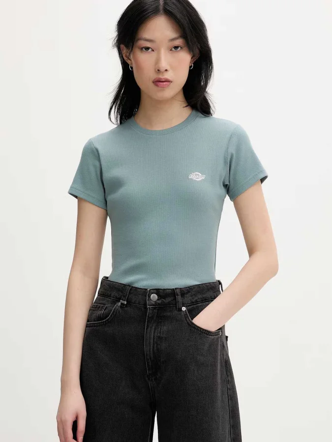 Dickies - GLADEVILLE SS TEE...