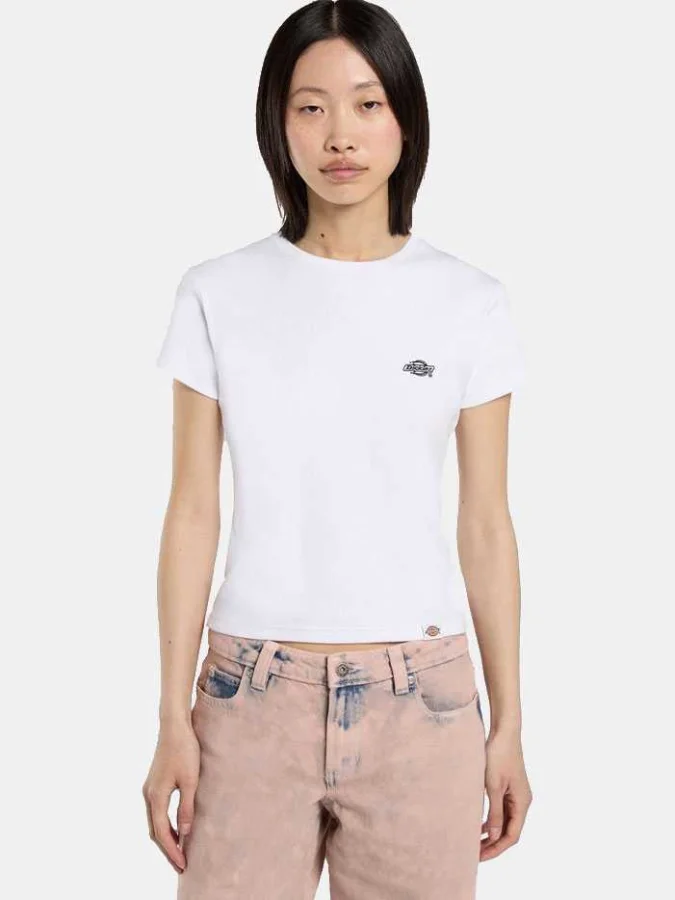 Dickies - GLADEVILLE SS TEE...