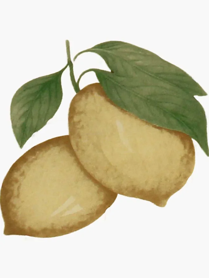 Kersten - Tray Lemon... 2