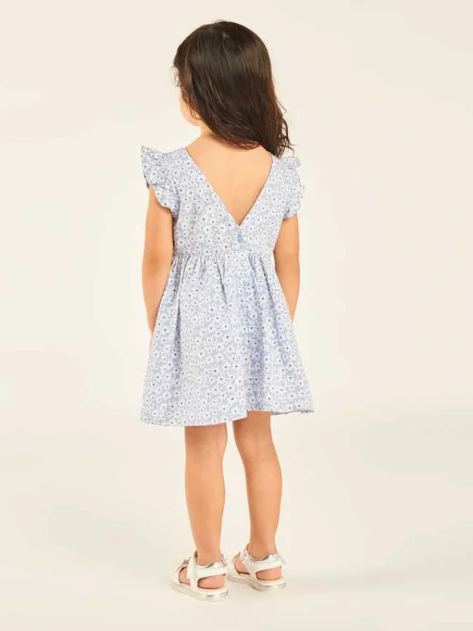 ORCHESTRA - ROBE CT 2