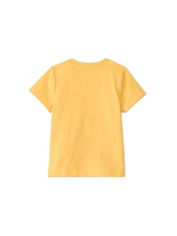 ORCHESTRA - SPE - T-SHIRT... 2
