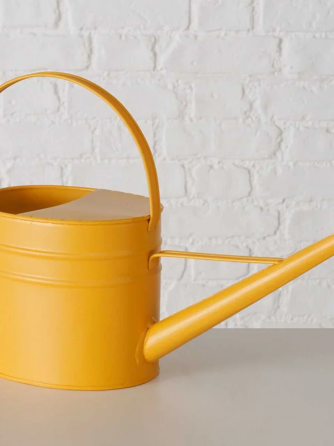 Boltze - Watering Can Moldura 2