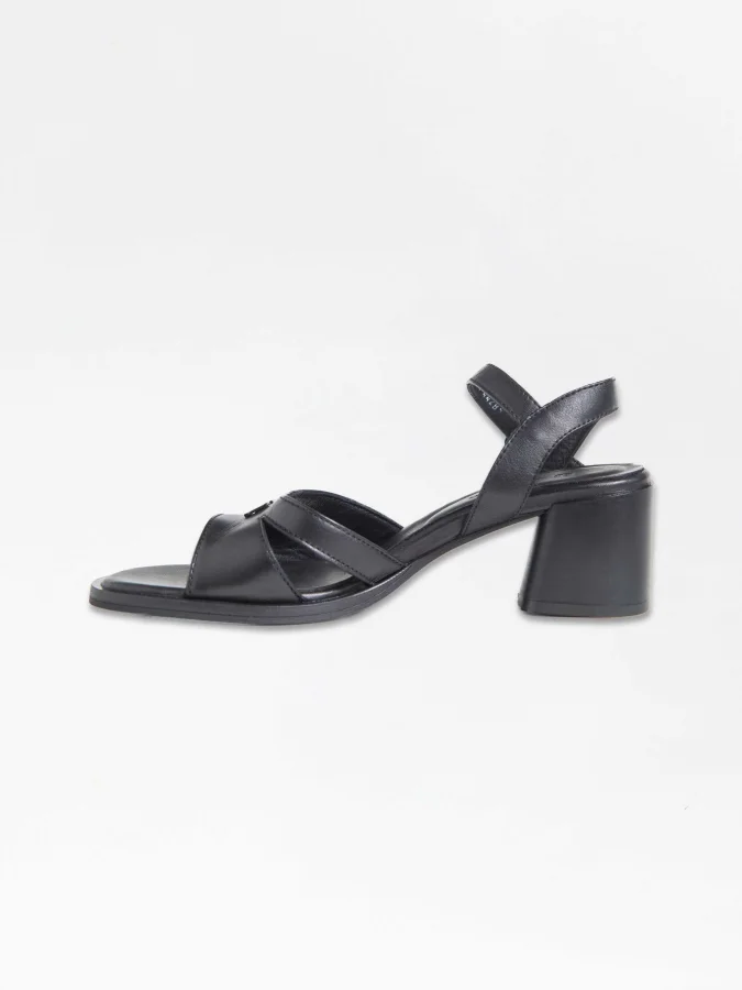 GREYDER - 34713 ZN ALCAK... 2