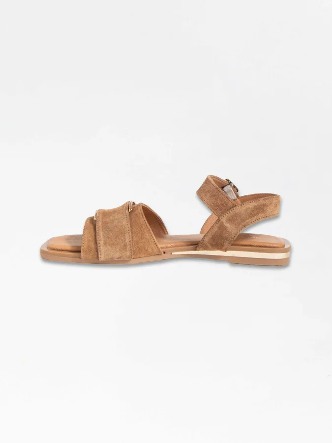 GREYDER - 59356 ZN CHIC... 2