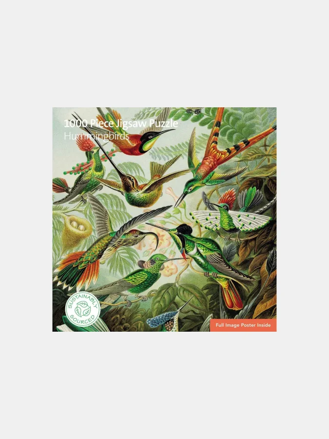 ფაზლი - Hummingbirds, 1000 ც